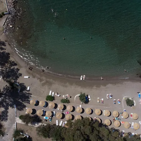 Hotel Evia Riviera 4*